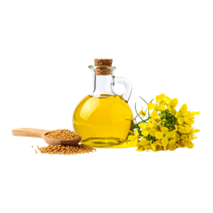 Organic Cold Pressed Oils & Ghee