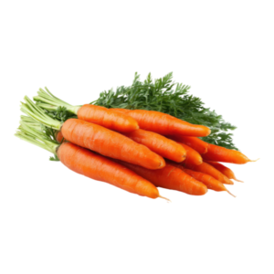 Red carrot